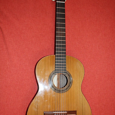Custom Guitar