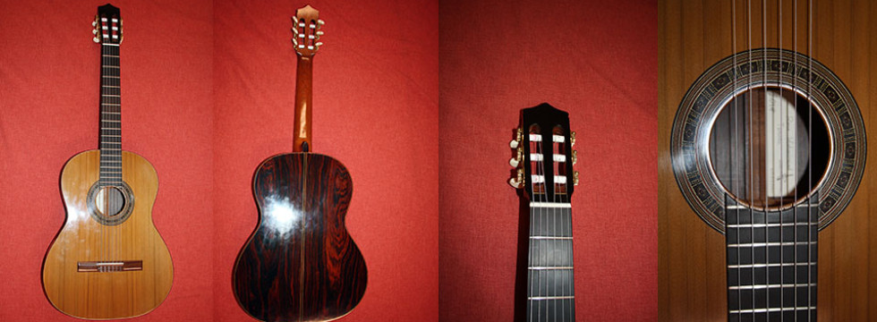 Custom Guitar Made by Mohammadreza Isfahaninejad
