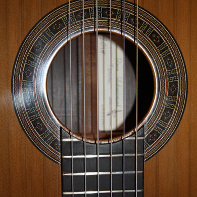 Guitar with Label